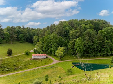 117 Icenhower Rd, Leicester, NC 28748 - photo 7