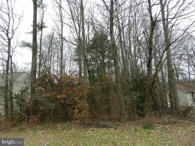 0 Albrough Blvd unit 1000408147, Colonial Beach, VA 22443 - photo 3