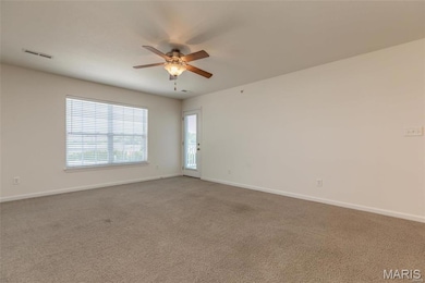 1776 Lexington Place unit 200, Herculaneum, MO 63048 - photo 4