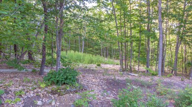 DJI_0347