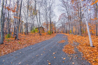 61 Pebble Brook Rd, Alfred, ME 04002 - photo 5