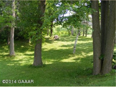 4732 County Road 91 SW, Alexandria, MN 56308 - photo 5