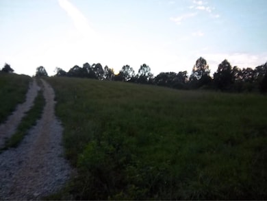 4726 Abednego Rd, Greenbrier, TN 37073 - photo 5