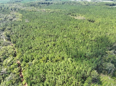 0 Buck Ln, Woodbine, GA 31569 - photo 4