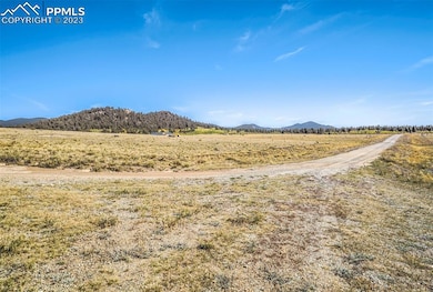 4250 Ute Trace Rd, Hartsel, CO 80449 - photo 4