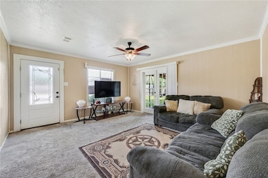 Carpeted living room with french doors, crown mold