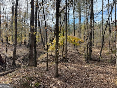 0 Old Middleton Rd unit 10651016, Elberton, GA 30635 - photo 4