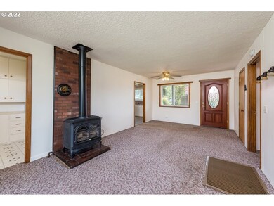 Fireplace Propane