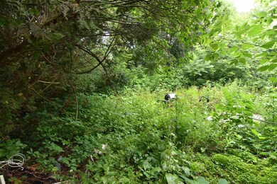 128 Simons Ave, Center Rutland, VT 05736 - photo 5