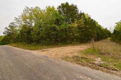 Tbd Catfish St & Drum St, Kissee Mills, MO 65680 - photo 6