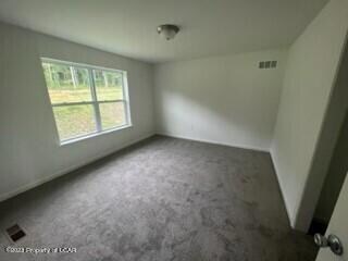 314 Long Run Rd, Drums, PA 18222 - photo 7
