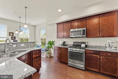 25230 Orchard View Terrace, Chantilly, VA 20152 - photo 6