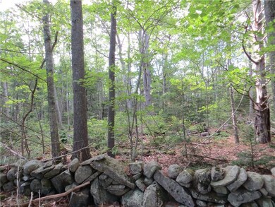 Lots of very old mossy stone walls...