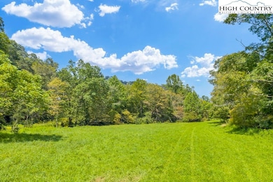 TBD Dell Coffey Rd, Boone, NC 28607 - photo 3