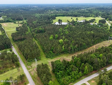 0010 Mount Carmel Rd, Bailey, MS 39320 - photo 6