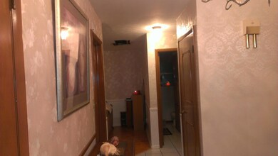 IMAG0500