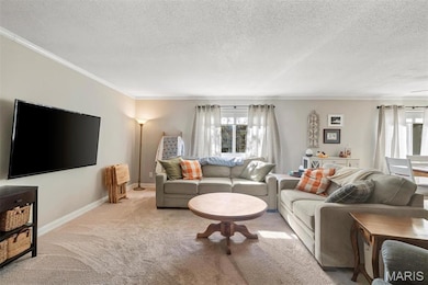 7 Amber Ct, Saint Charles, MO 63303 - photo 7
