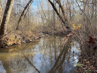 County Rd 208, Heflin, AL 36264 - photo 3