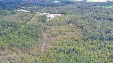 4706 Omega Ranch Rd, New Smyrna Beach, FL 32168 - photo 4