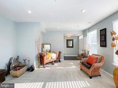 10942 Saint Patricks Park Aly, Waldorf, MD 20603 - photo 3