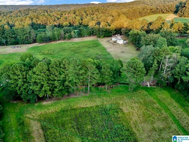 310 MacK James Rd, Empire, AL 35063 - photo 2