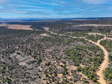 1657 De Oro Way, Hesperus, CO 81326 - photo 7