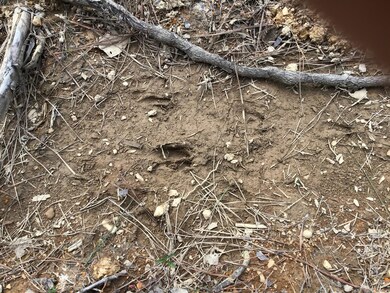 0 Carter Hollow Rd unit 2000039, Linden, TN 37096 - photo 7