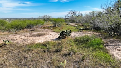 County Road 124, Kenedy, TX 78119 - photo 4