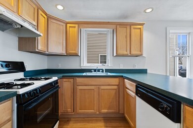 146 W 8th St unit 1, Boston, MA 02127 - photo 5