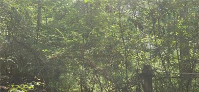 View of woods