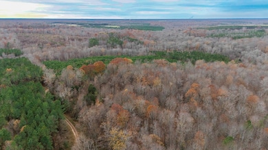 Lot 41 Oneal Rd, Champlain, VA 22438 - photo 5