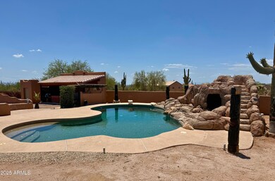 Oasis