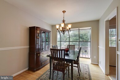 5308 Manorfield Rd, Rockville, MD 20853 - photo 6