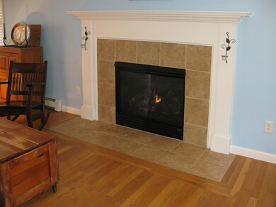 Living Room Fireplace