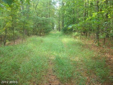 2213 Andrews Rd, Crapo, MD 21626 - photo 6