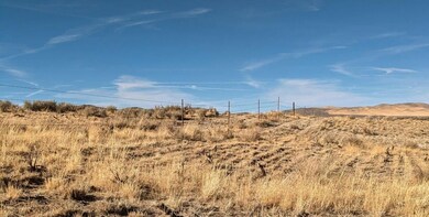 Unnamed Rd, Halleck, NV 89823 - photo 3