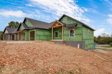 206 N Blarney Ct, Nixa, MO 65714 - photo 3