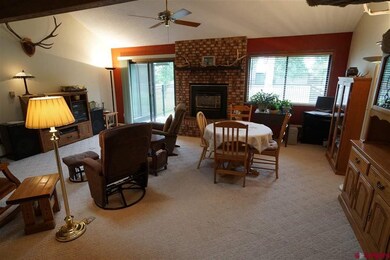 114 Camino Del Rio unit 26, Gunnison, CO 81230 - photo 2