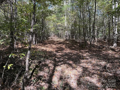 Part of a number of paths on the property.