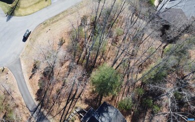 0 Lake Dr unit 649061, Ruckersville, VA 22968 - photo 5