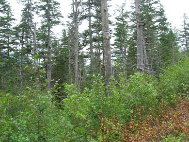 L3 B12 Shotgun Cove Rd, Whittier, AK 99693 - photo 2