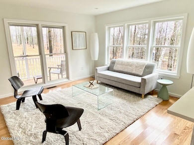 365 Moore Hill Rd, Stephentown, NY 12168 - photo 6