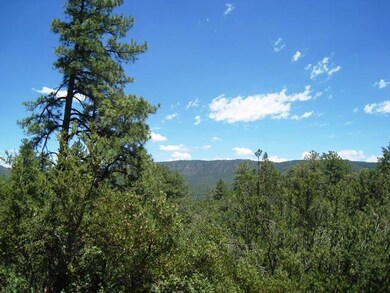 27 Pine View Dr, Pine, AZ 85544 - photo 3