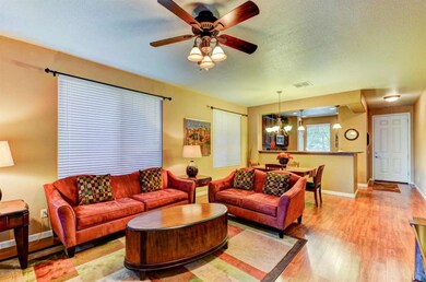 Living Room 1