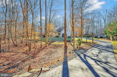 7006 Whitetail Ct, Fredericksburg, VA 22407 - photo 6