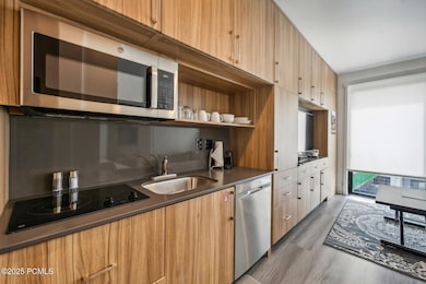 2670 Canyons Resort Dr unit 207, Park City, UT 84098 - photo 7