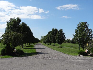 Beautiful tree lined driveway. Evenings are lit wi