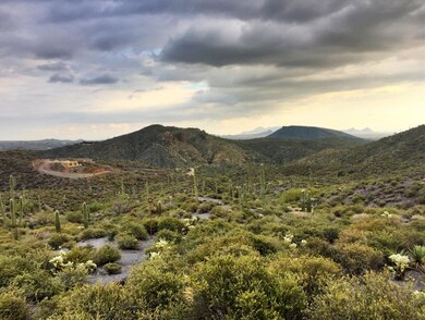 Elevated, Southern Exposure