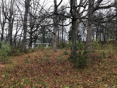 110 Baldwin Ave, Hendersonville, NC 28792 - photo 2