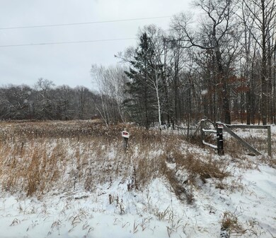 TBD 149th Ave, Sebeka, MN 56477 - photo 4